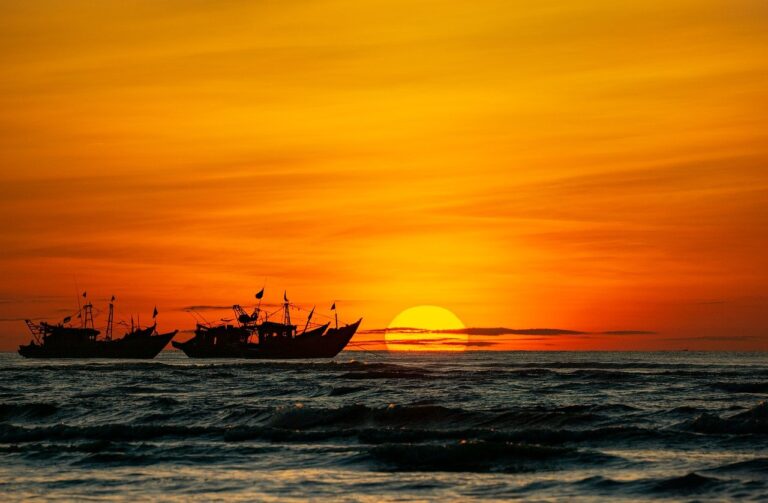 guide de voyage au vietnam : conseils, itinéraires, et astuces pour découvrir les richesses culturelles, naturelles et culinaires du pays.